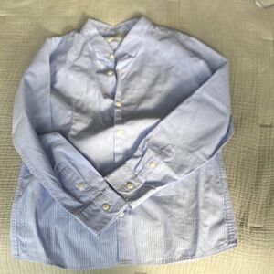 Zara Light Blue Striped Button Down Shirt